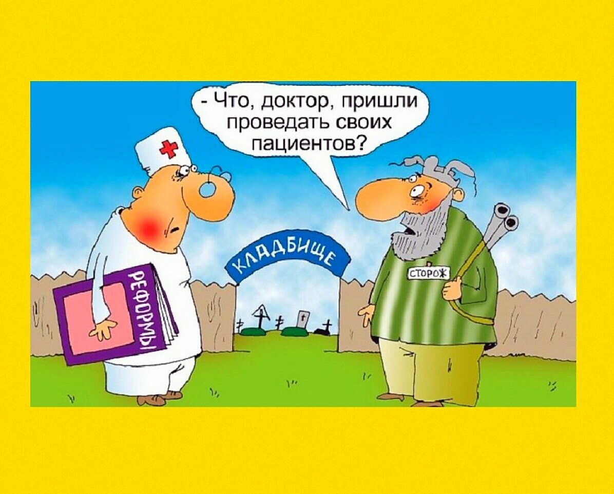 Света смешные картинки