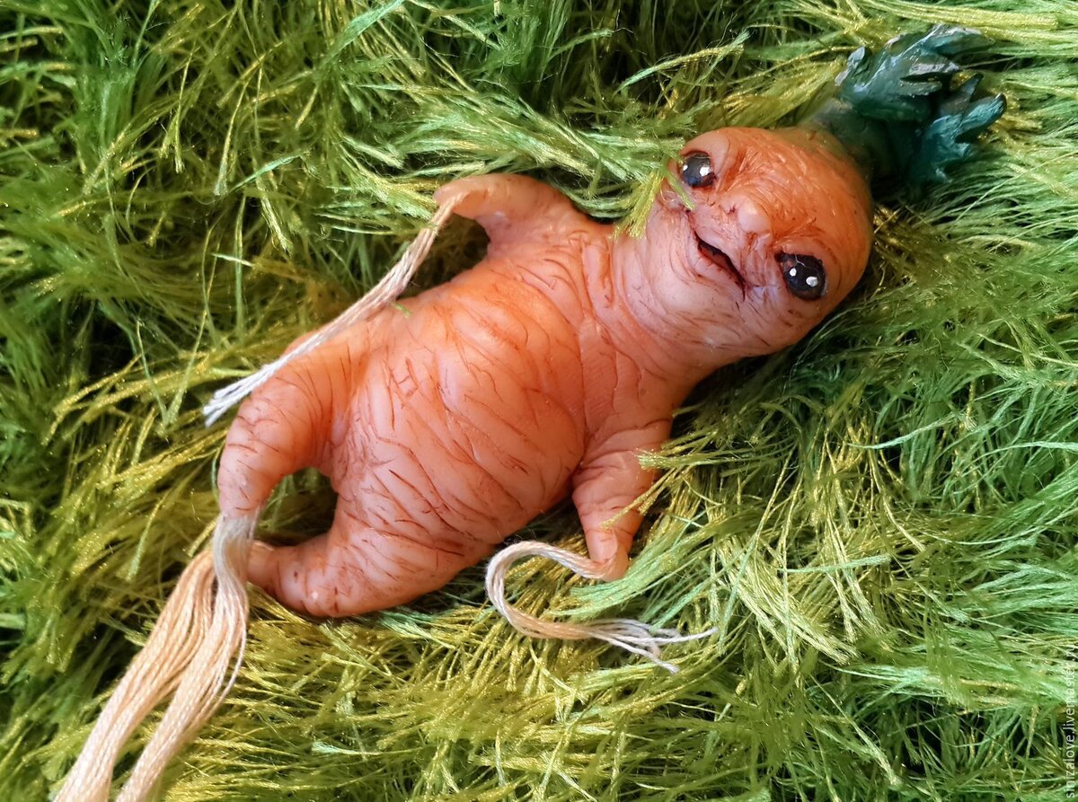 Изображение из открытых источников