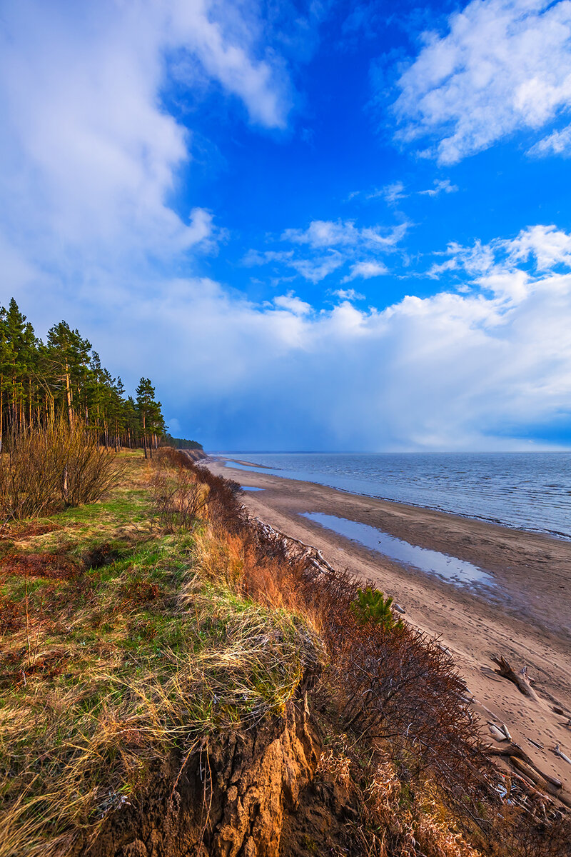 Бердск, Обское море. Новосибирская область, Западная Сибирь России). Фото  заметка о родном городе. | Сибирь в объективе. Евгений Мухортов | Дзен