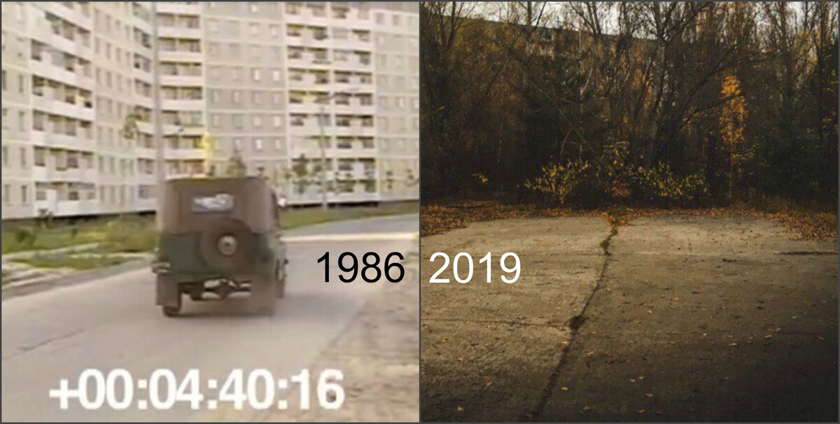 Невероятные перемены в Припяти с годами. Как выглядит город в период постапокалипсиса в нашей реальности сегодня