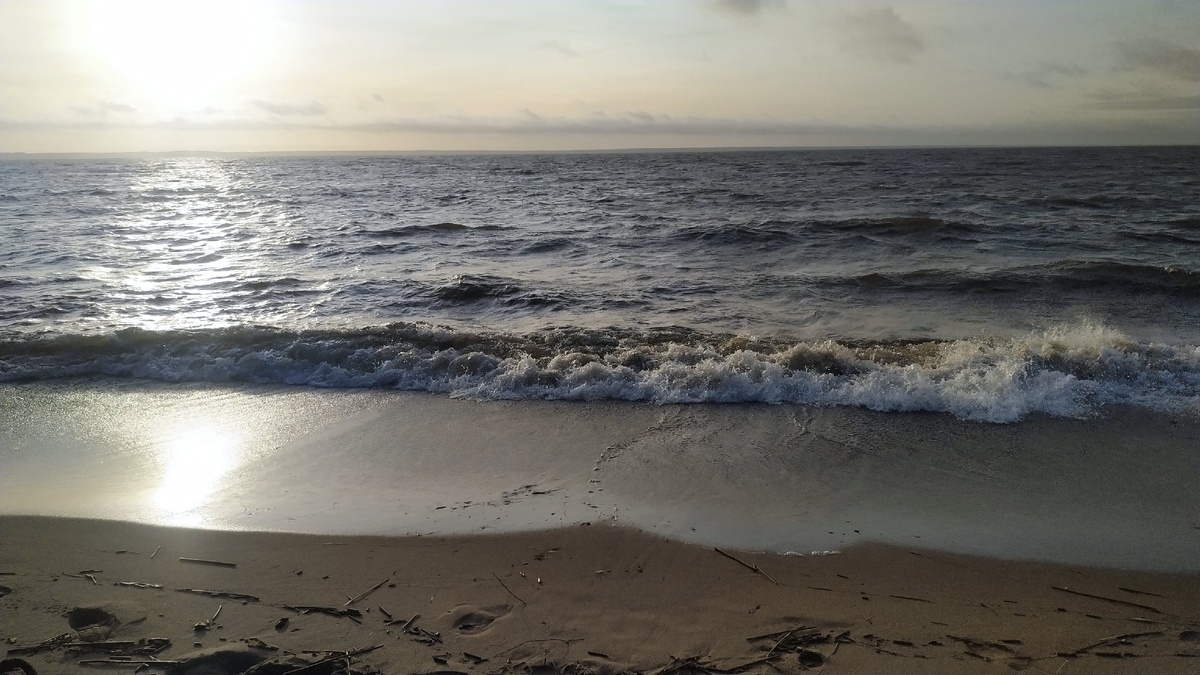 Холодная Аврора... 