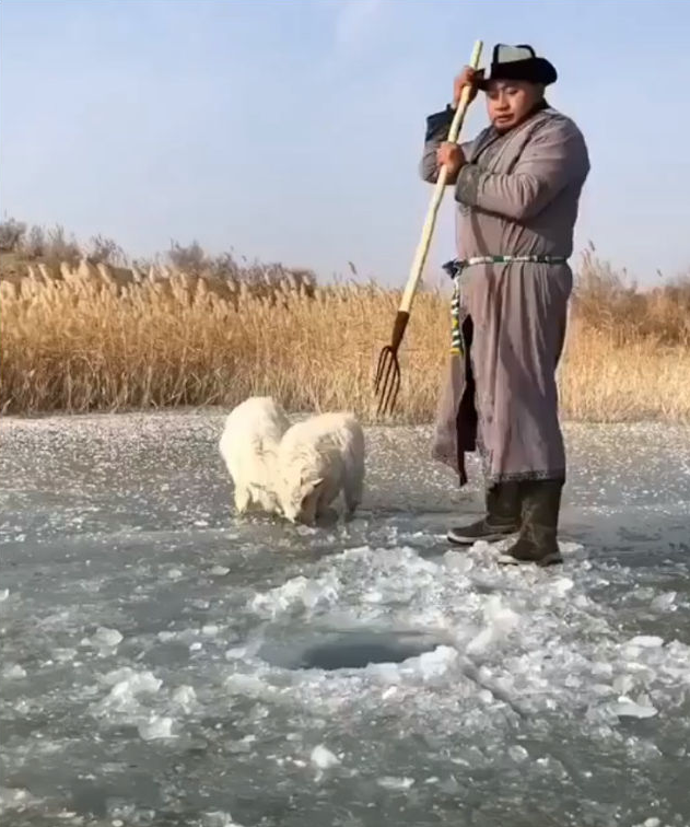 С ВИЛОЙ ЛОВИМ РЫБУ