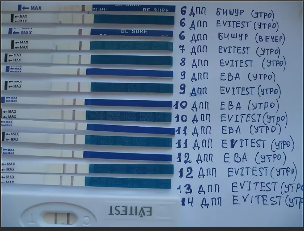 Вот такая коллекция была практически у каждой.