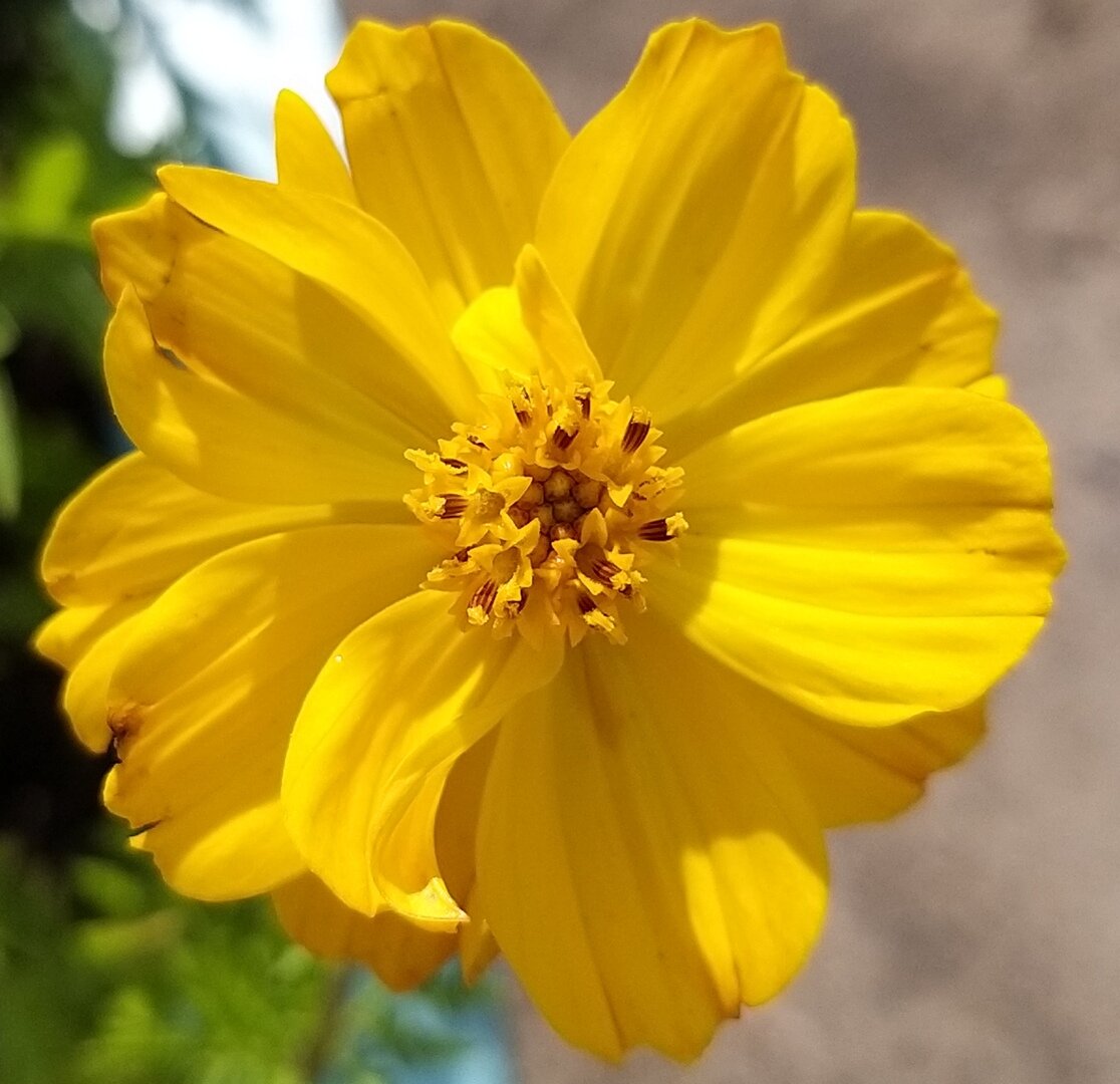 *                                                                                                                                               Фото автора статьи