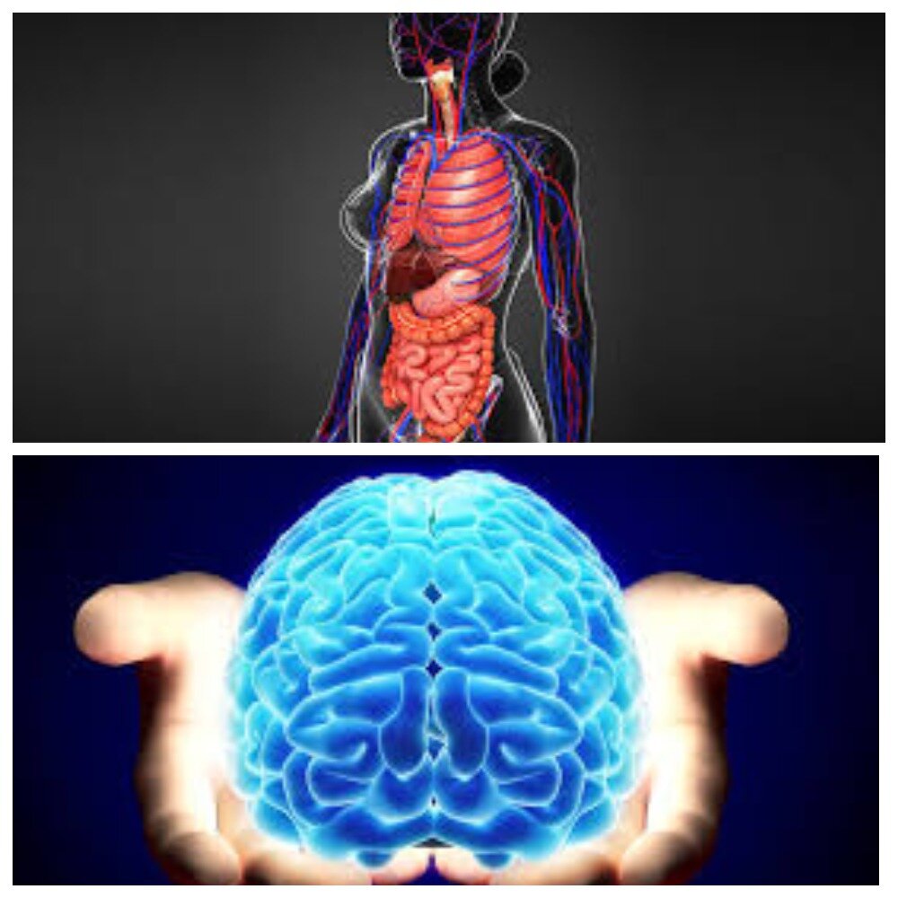 интересные факты о человеке