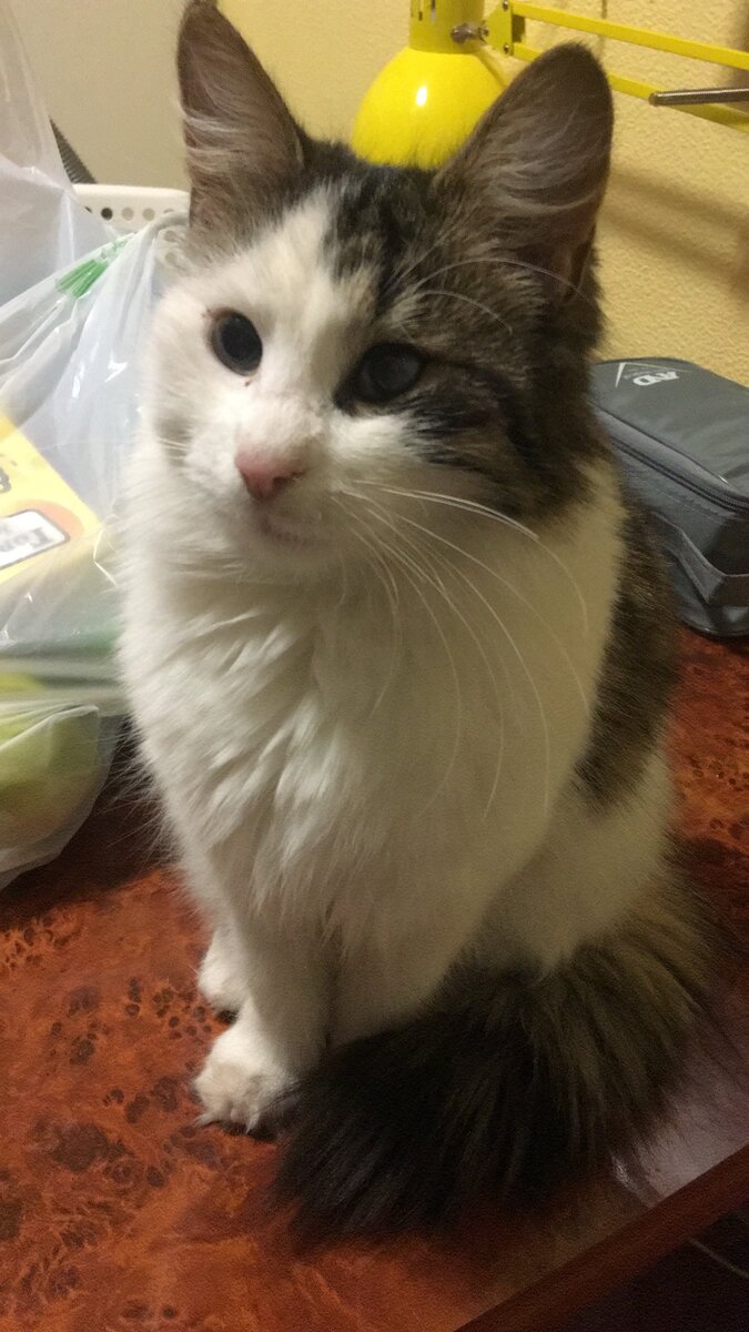 Люсьен пойдёт на первую рыбалку весной