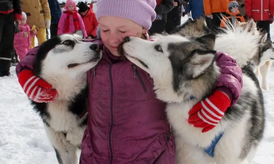 Изображение взято с сайта family-clb.ru