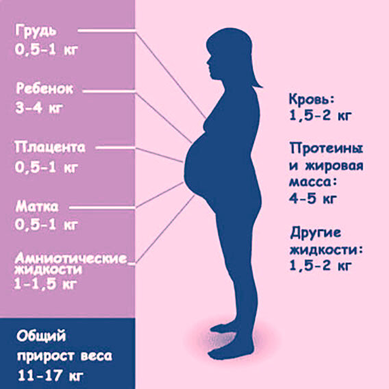 Почему женщина прибавляет вес при беременности