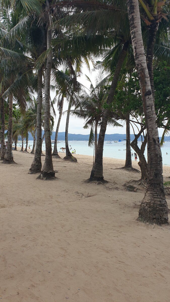 Это вид с дорожки, разделяю щей ряд отелей и пляж. Час пик, но как видно пляж свободен, вода та самая, бутылочного цвета.(фото автора) 