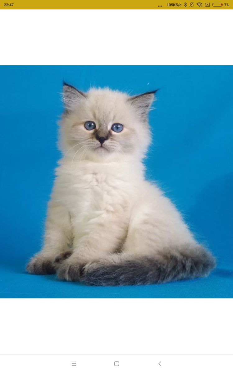 Фото из интернета