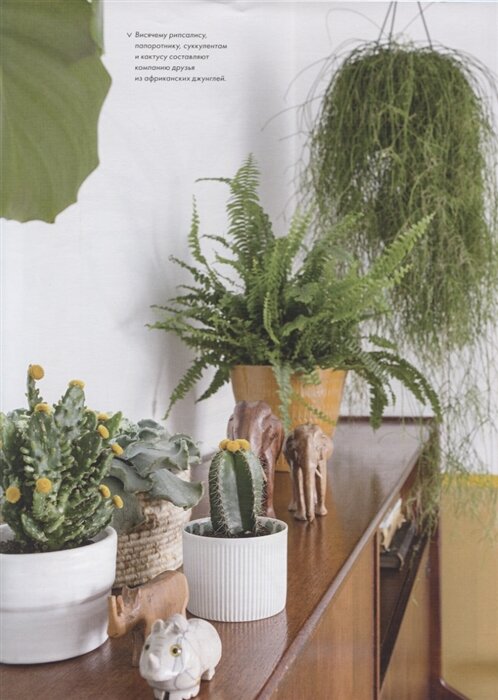 Страницы книги Urban Jungle. Как создать уютный интерьер с помощью растений" 