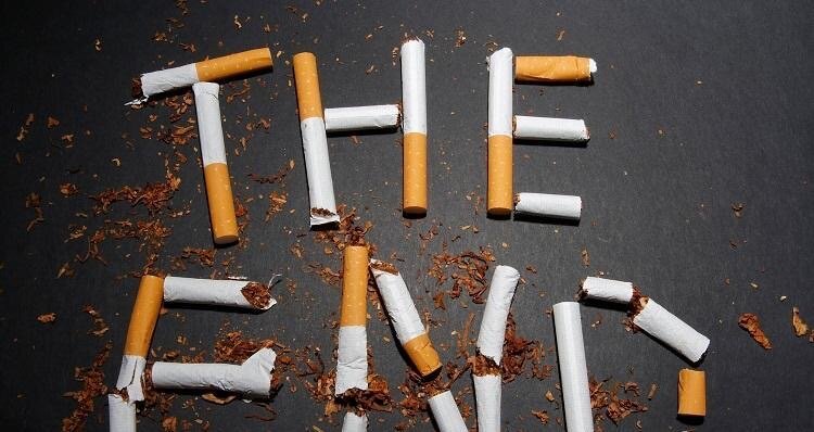 Alexei4eg live stories)