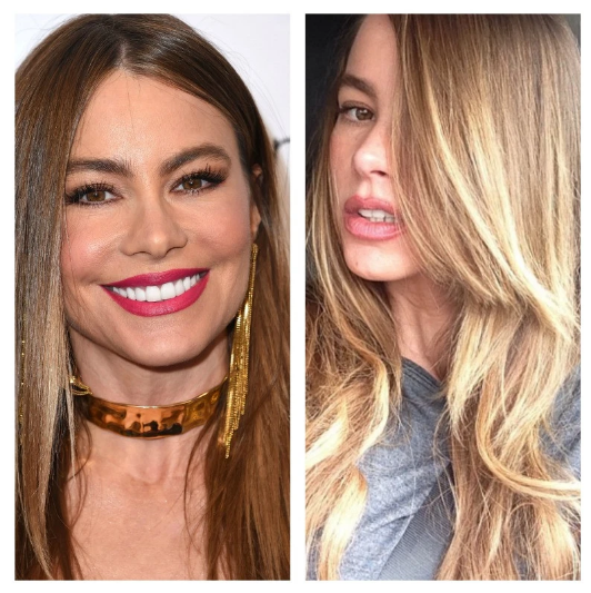 Sofia Vergara