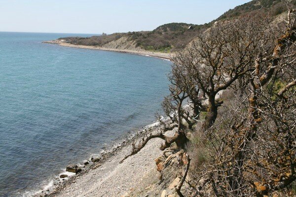 пригород новороссийска. база отдыха энергетик дюрсо. с щели новороссийск. пансионат моряк абрау. абрау-дюрсо сухая щель пансионат.