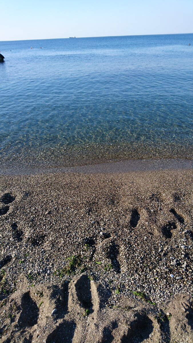 Вот тут пятьдесят метров вперед, я с дельфином познакомился.