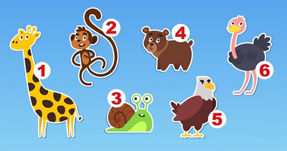 Выберите одно животное