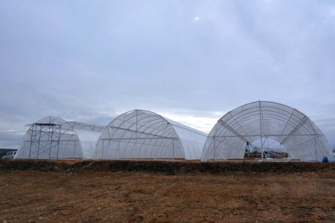 Теплицы фермерского хозяйства под Севастополем. Фото: sev.gov.ru