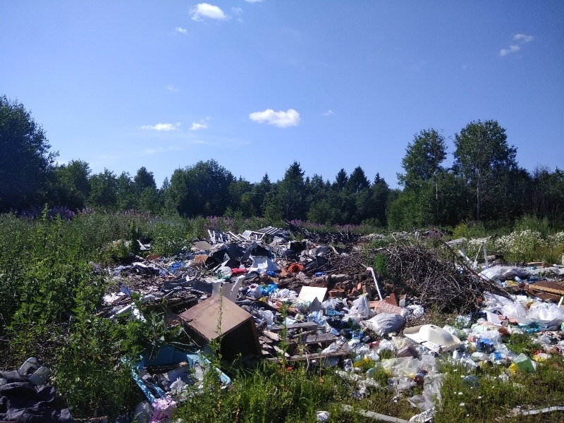 Яндекс картинки