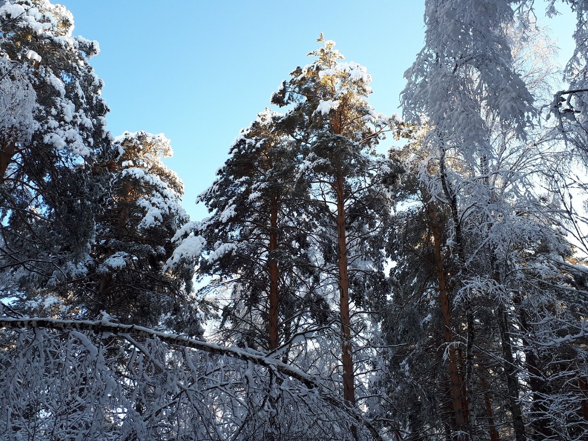 Фотография сделана автором