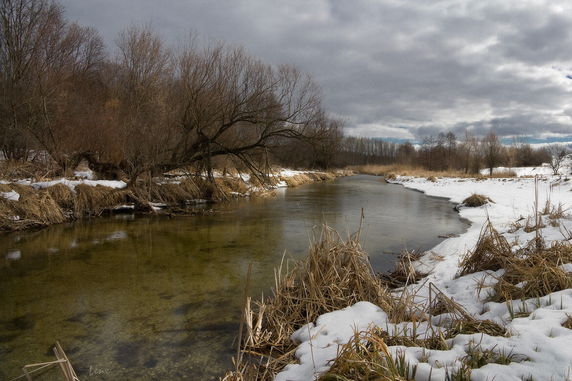 природа просыпается и оживает