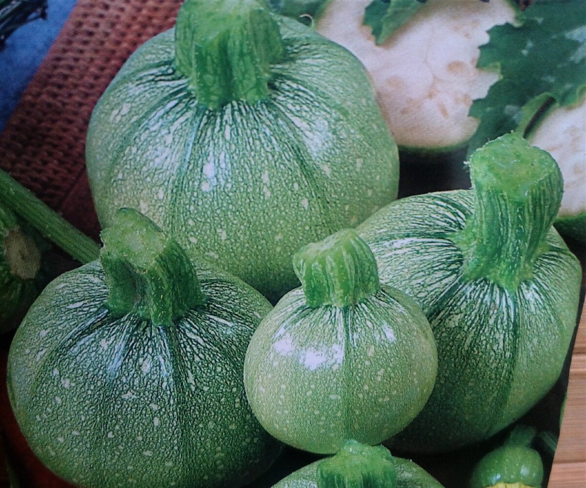 Кабачки мячики. Фото автора