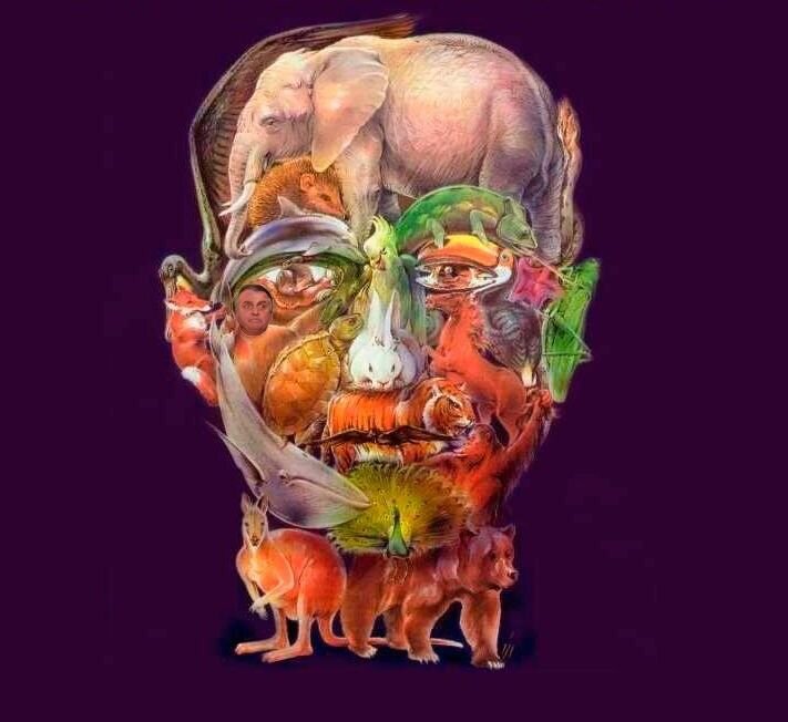 Фото из открытого источника.