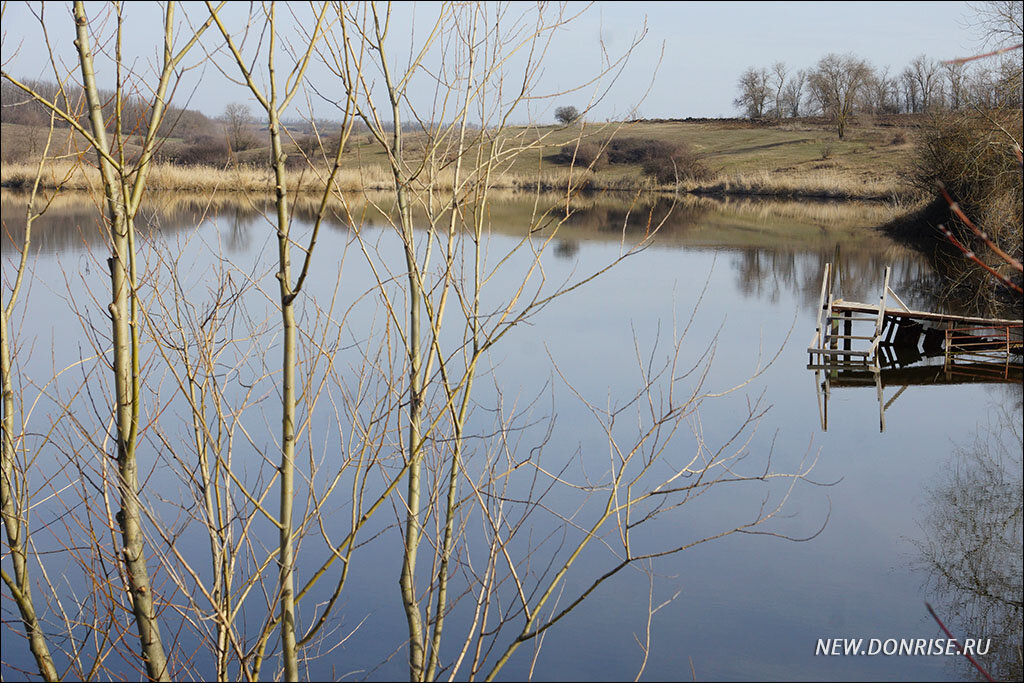 Весенний пруд