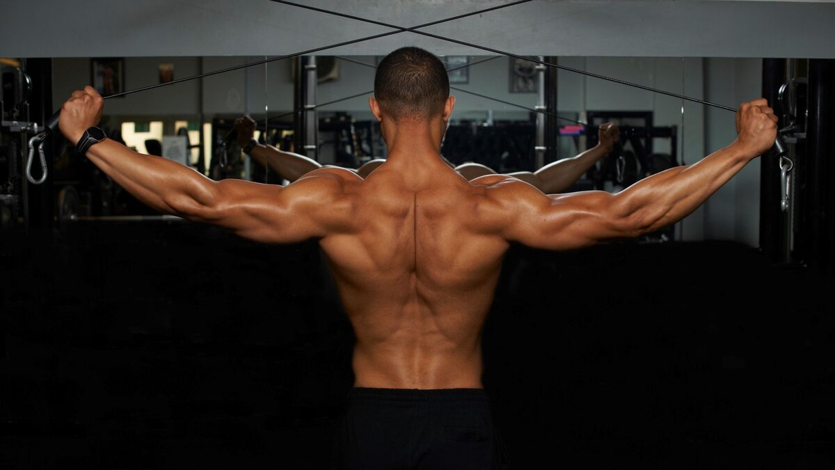 яндекс картинки