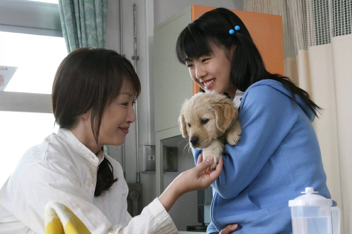 Кадр из фильма "10 обещаний собаке" (фото из интернета)