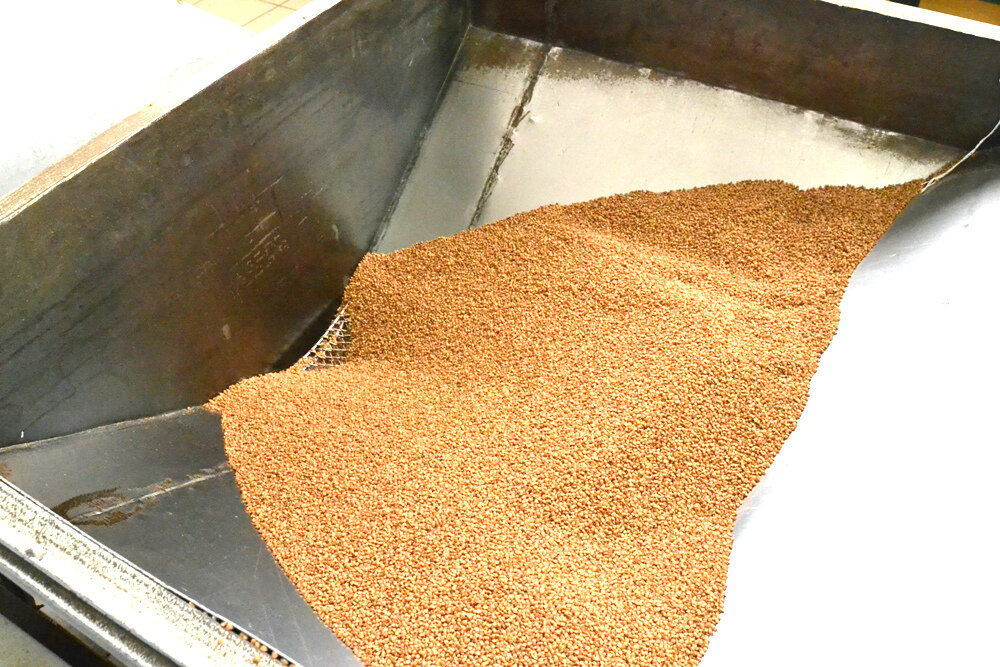 производство гречневой крупы. много гречки. производство гречки. гречиха посевная крупа. мини станок для шелушения гречки.