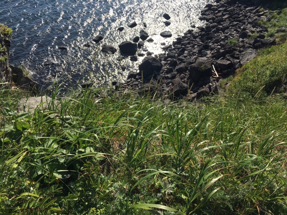 Охотское море