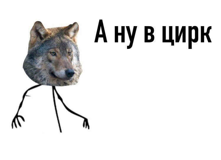 ((((((((