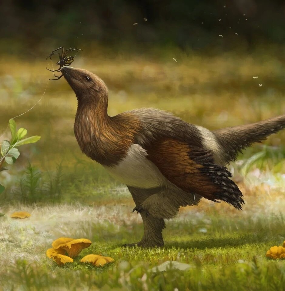 Художник: Эмили Уиллогби 