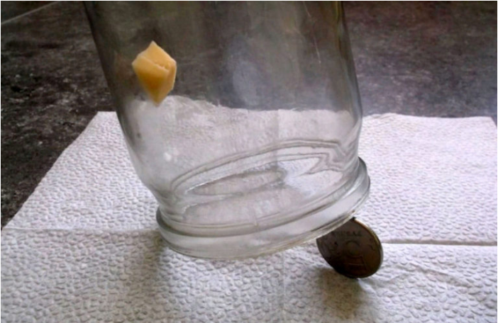 Яндекс.Картинки 