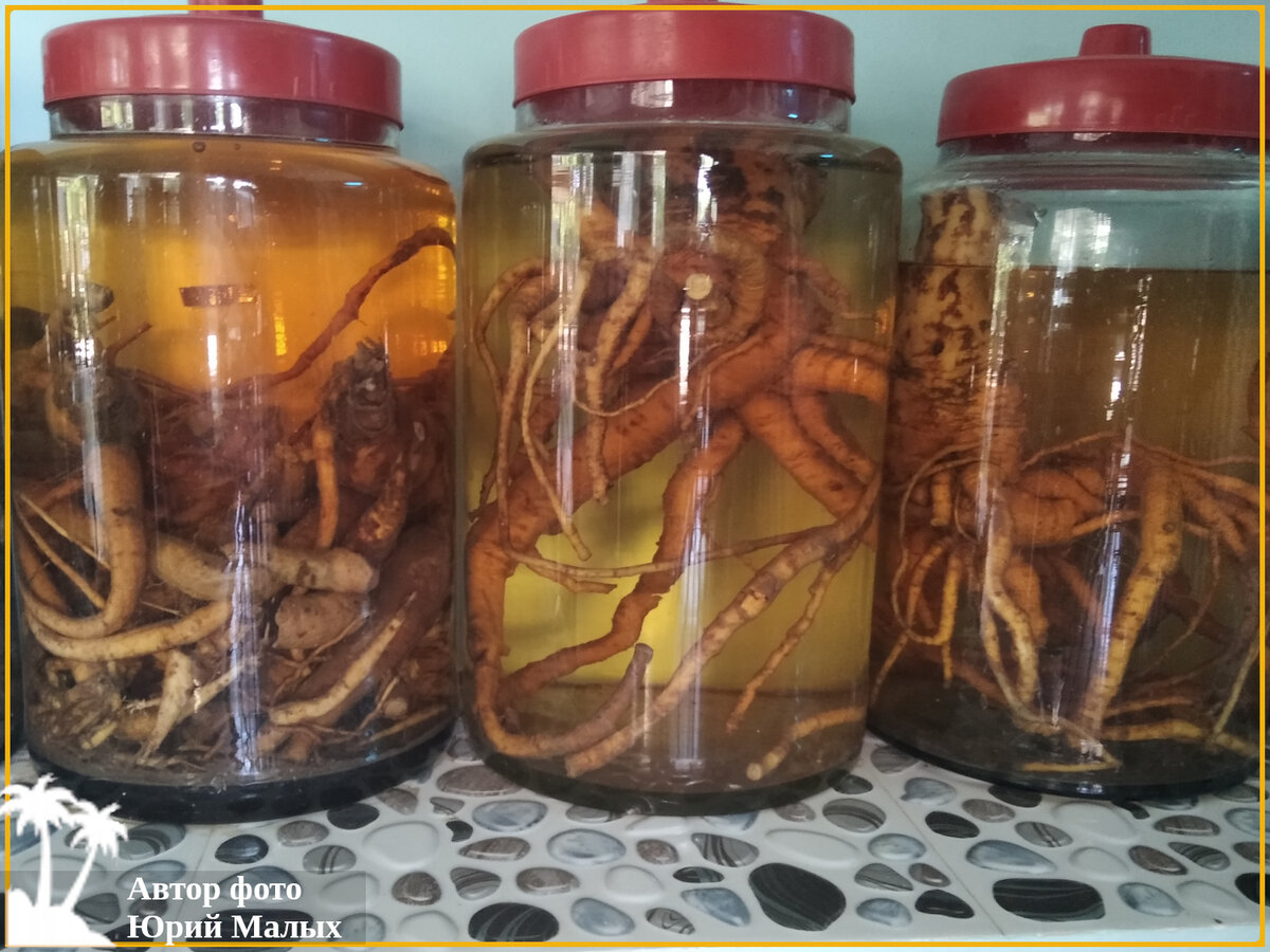 Корни оказались классикой