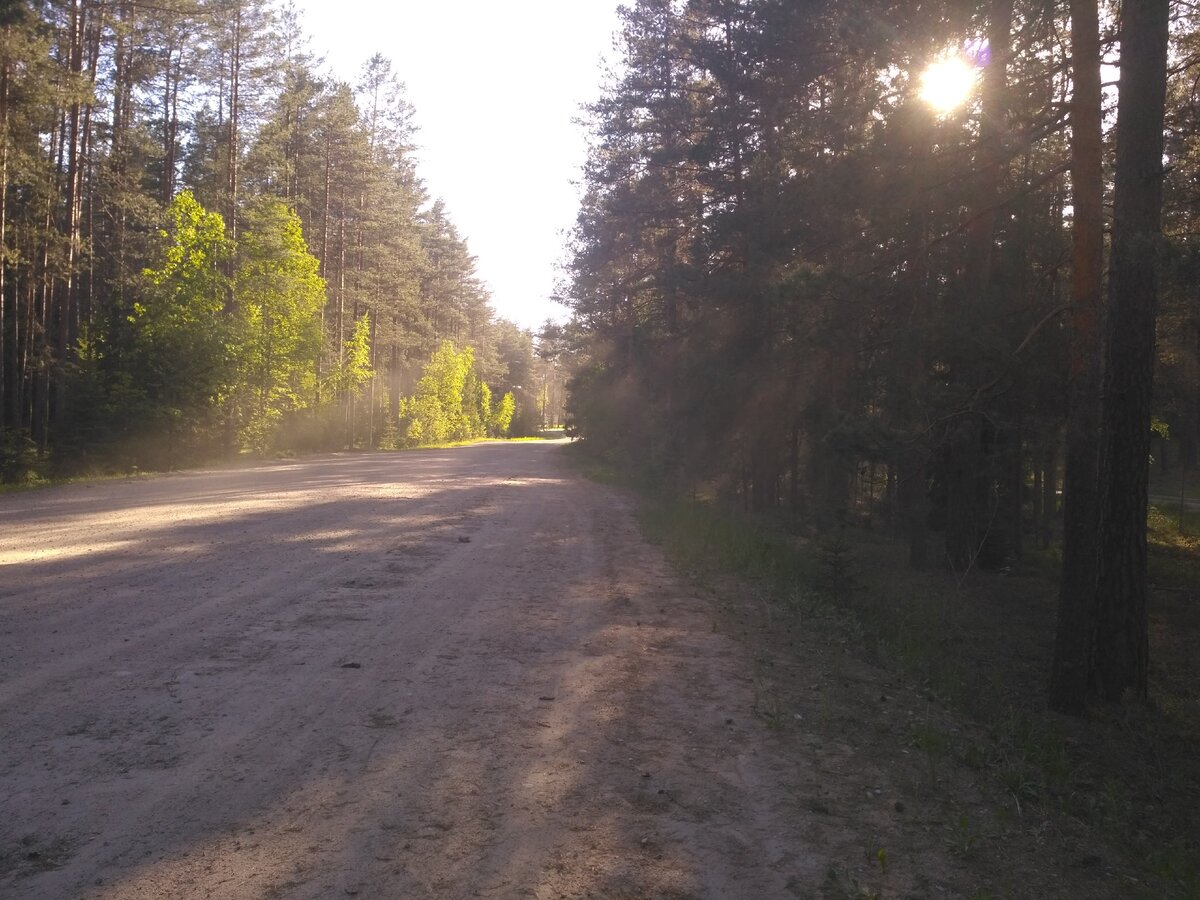 Это  озеро Темное, в той стороне находится Старая Жемчужина