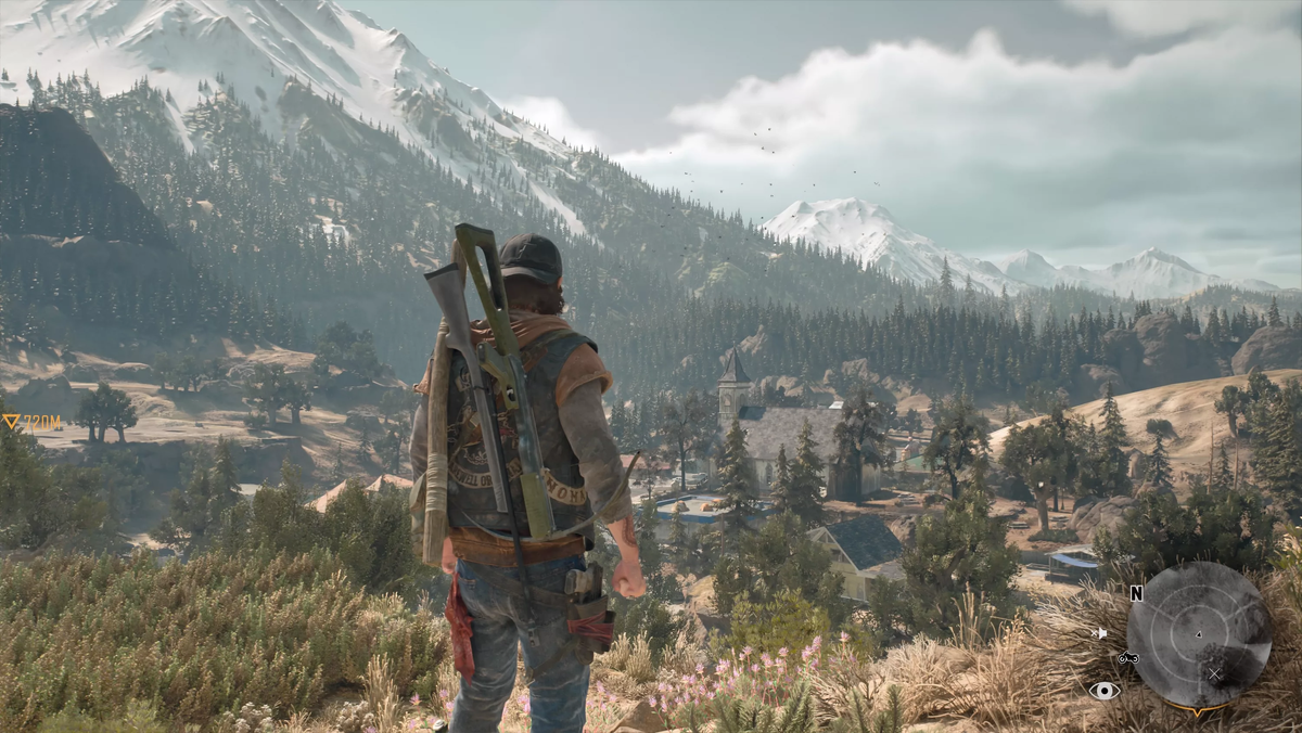 Скриншот из Days Gone. Фото взято из открытого источника Яндекса