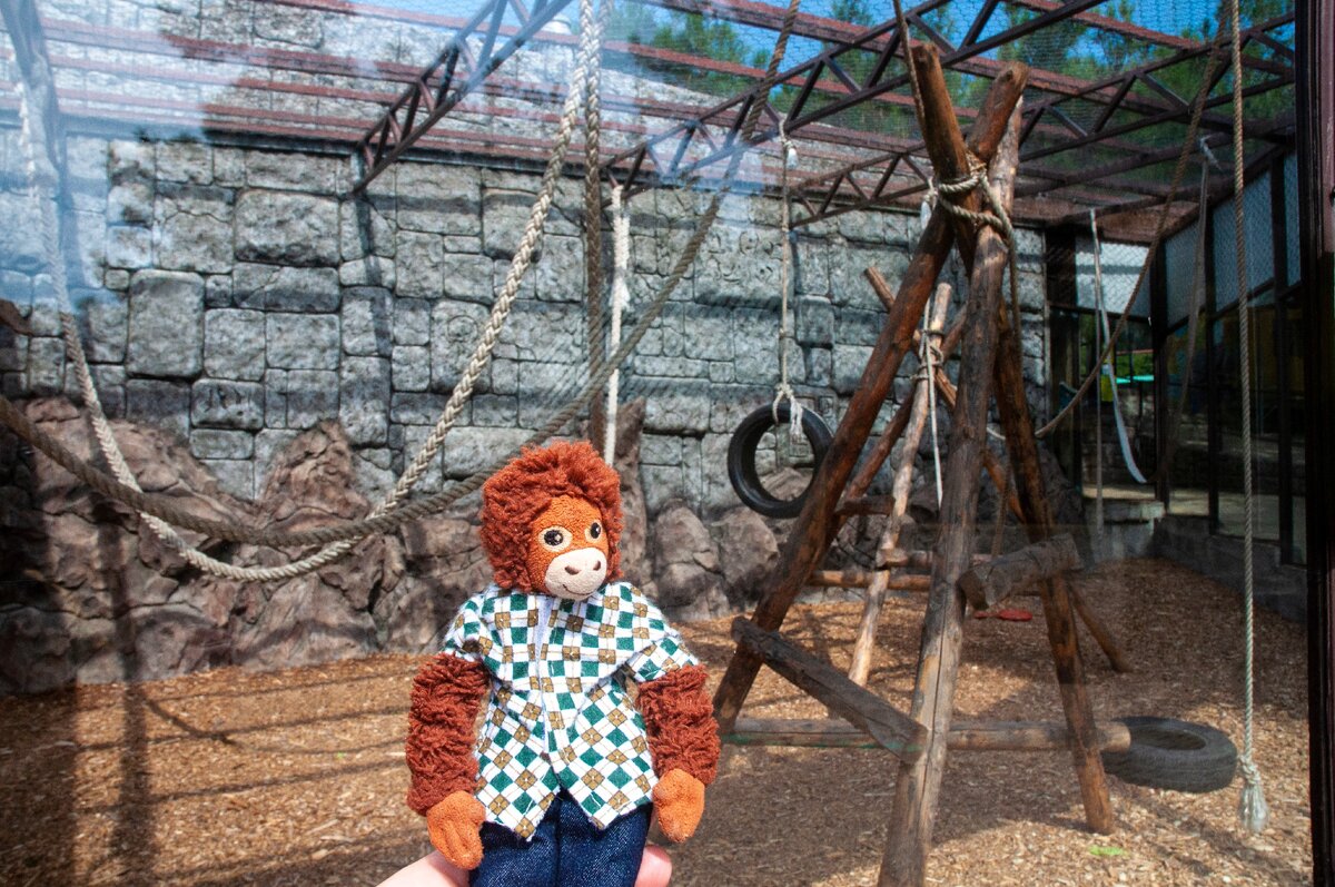 чтобы узнать ответ, перелистните вправо