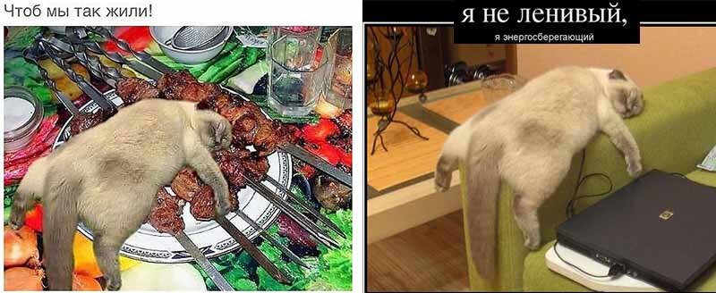 второе фото тоже фотомонтаж, догадайтесь почему?