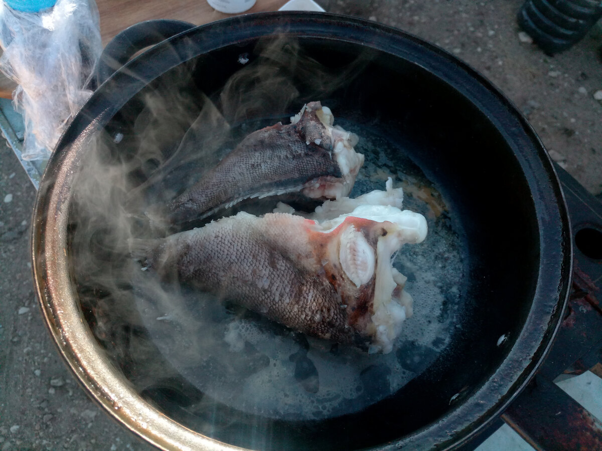 А в таком виде черноморские скорпены вообще не страшные 