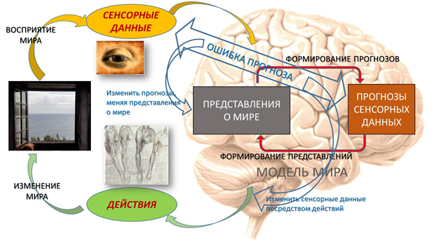 Конституция биоматематики