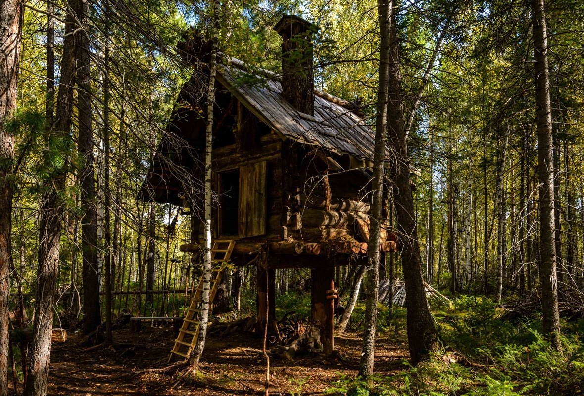 Источник: fotokto.ru