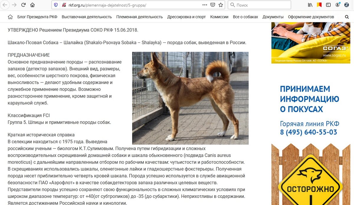 http://rkf.org.ru/plemennaja-dejatelnost/5-gruppa/