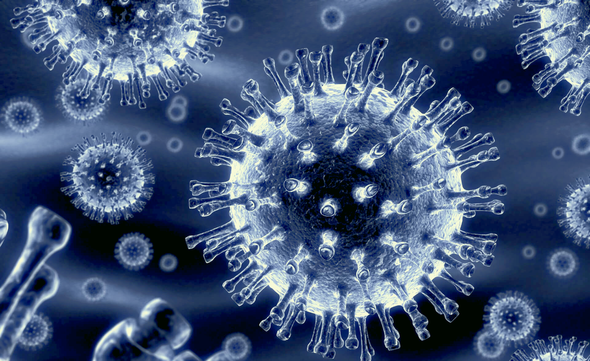 Вирусы против бактерий