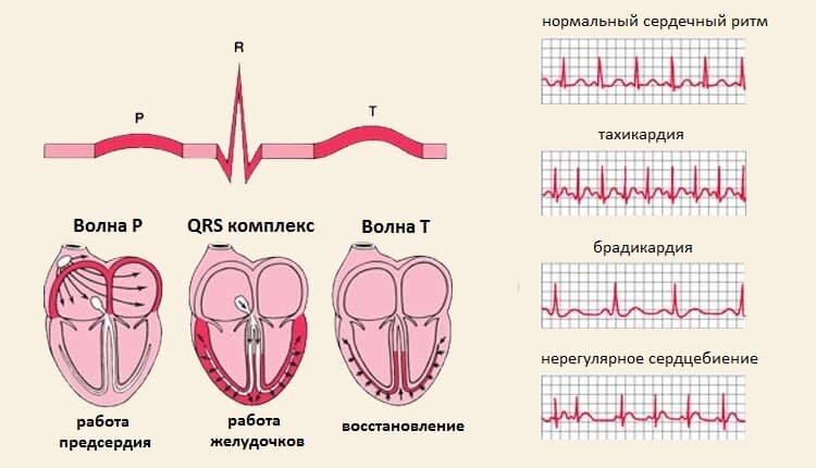 Одышка – затруднение дыхания: диагностика причин и эффективное лечение