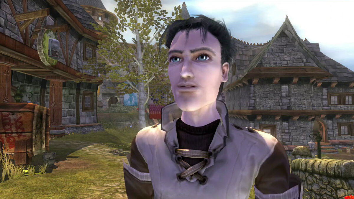 Таким наш Герой выглядел после начала своих приключений