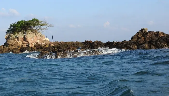  Змеиный остров