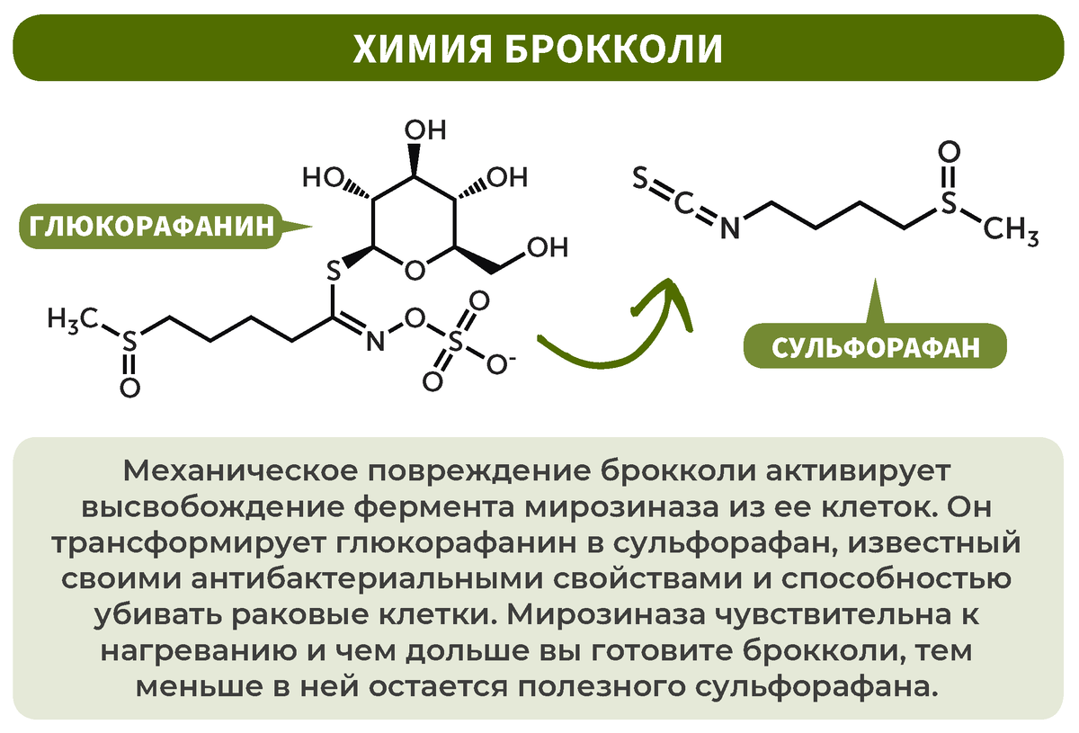 Процесс трансформации глюкорафанина в сульфорафан.                                                                     The Chemistry of Broccoli © Andy Brunning/Compound Interest