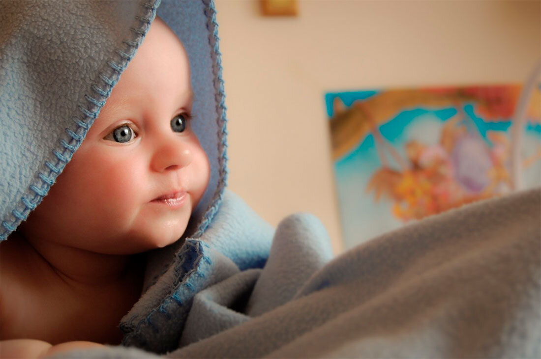 Изображение: pxhere.com