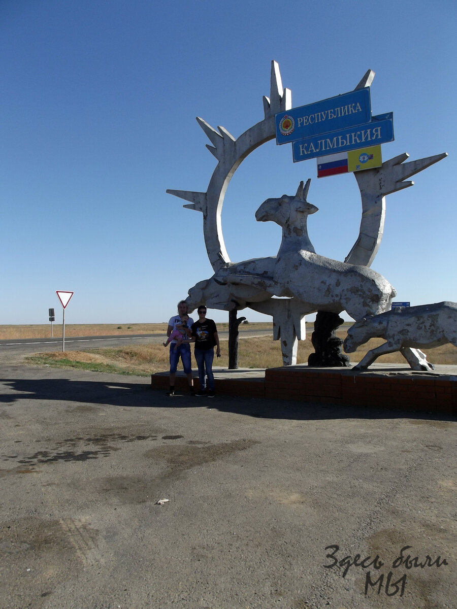 Сайгаки на въезде в Калмыкию